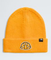 Gorro Tnf - LogoBox Cuffed Beanie