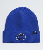 Gorro Tnf LogoBox Cuffed Beanie