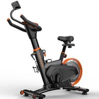 Bicicleta Spinning Magnetica Profesional K12 8 KG