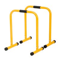 Barras Paralelas Fitness Leberts Calistenia