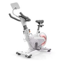 Bicicleta Spinning Magnetica Profesional k11 8 KG