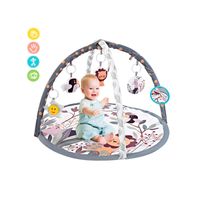 Gimnasio 3 En 1 Musical Para Bebe