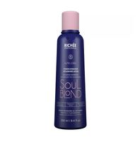 Acondicionador Matizador Soul Blond 250ml Richee