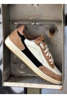 Zapatilla Holand II Café Hombre Globe