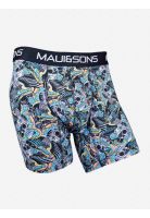 Boxer Wave Rider Multicolor Hombre Maui and Sons