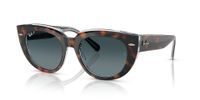 Ray-Ban Doreen RB2286 1413S3 52