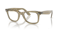 Ray-Ban Wayfarer Change