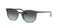 Ray-Ban Elliot RB2197 1391GK 54