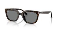 Ray-Ban RB4439D 710/87 54