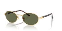 Persol Ida PO1018S Polarizado