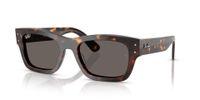 Ray-Ban Joseph RB7683S 902/B1 55