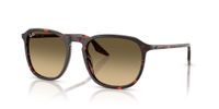 Ray-Ban RB2203 14290A 55