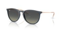 Ray-Ban Erika RB4171 681311 54