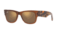 Ray-Ban Mega Wayfarer