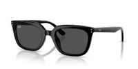 Ray-Ban RB4439D 901/87 54