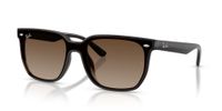 Ray-Ban RB4466D 714/13 47