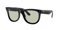 Ray-Ban RBR0502S