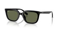 Ray-Ban RB4439D 901/9A 54