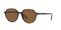 Ray-Ban Thalia RB2195 902/57 53