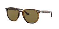 Ray-Ban Hexagonal RB4306L