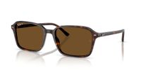 Ray-Ban Raimond RB2231 902/57 58