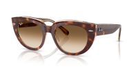 Ray-Ban Doreen RB2286 141451 52