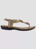 Sandalia Chalada Mujer Anatomic78 Dorado Casual