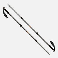 Bastón Escape Trek Pole Gris Lippi