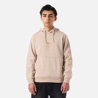 Polerón Teen Boy Ulmo Mid Point Hoody Sweatshirt Beige Lippi V26