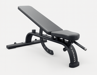 Banco Multifuncion Inclinable FORBATS