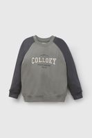 Polerón Gris Niño 7563 Colloky