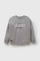 Polerón Gris Niño 7460 Colloky