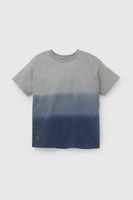 Polera Niño Gris 58018 Colloky