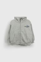 Polerón Gris con Cierre