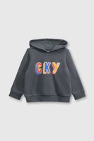 Polerón Gris de Niño