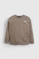 Polerón Café Cortes De Niño PLPO0165V26