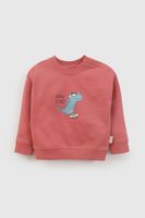 Polerón Niño Rojo 8227 Colloky