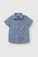 Camisa Niño Celeste 58135 Colloky