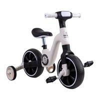 Triciclo Bicicleta Aprendizaje Pedales 2 en 1 XT05 Blanco