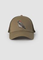 Jockey Trucker Carpinterito Café