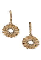 Aros Anne Klein Dorado Mujer 01G00703