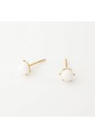 Aros 19V69 Italia Dorados STER149