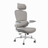 Silla De Escritorio Ergonómica PRO Gris