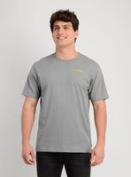 POLERA MANGA CORTA GLASSY DAYS GRIS