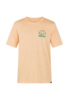 Polera Everyday Washed Vacation Sweet Dream