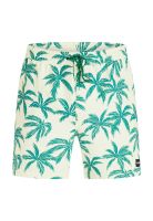 Traje de Baño Cannonball Volley 17 Illuminous Green