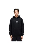 Polerón Stance Established Hoodie Black