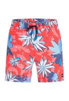 Traje de Baño Cannonball Volley 17 Habanero