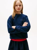 Polerón Corporate Logo Azul Tommy Hilfiger