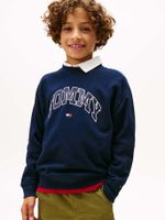 Polerón Varsity Print Azul Tommy Hilfiger